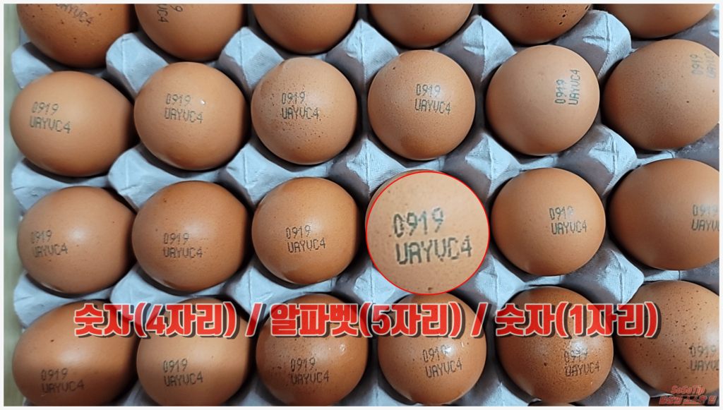 계란에 표시된 숫자와 알파벳